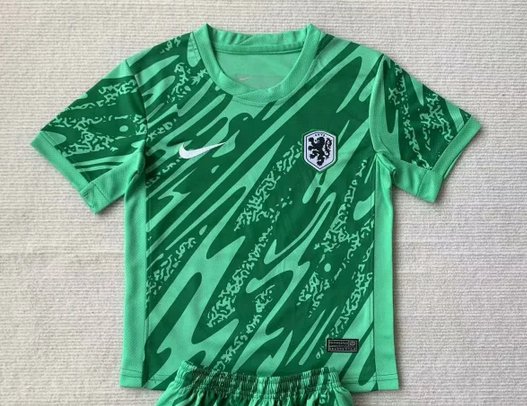 AAA Quality Netherlands 2024 GK Green Soccer Jersey